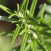 Cfad36e5ce772aaa2d0c6d3d4cfb853a5d73a5ca