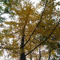 D4d4371e983756dd2d9d71cb2710995a46c1c54f