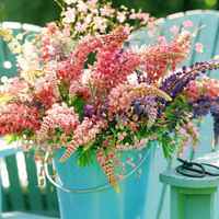 68e61839e0edc56e10b24df6bacd95050b014fe1