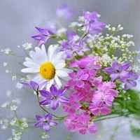 0a73a6e186868883ede6dd1f25fcf2d19d43d615