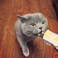 47c542c9f1c49c11cf616d74e2cb0f2268ef3292