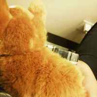 6543e307d7b37b60b3d6120895330eb1533d92c3