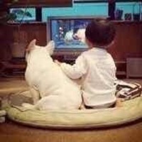 65e873bfd62b5048cfff520c2dab62197c78499a