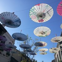 414d1d1e7b75968816bab19191f9ac4f2a069572