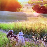 90af153d57dbbefc7ca87d863e0c6e47aee6c7f6