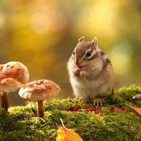 C42db06baf85a04a138125254f585ac0e9c3bba9