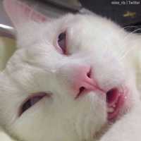 2d9fd7bea11391f9cab6682f065511c87aa84102