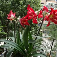 Ef9aebbf396f239e7e22fd3207e18813345ea09f