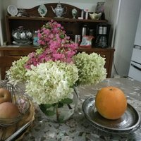 9e09c7d8454888f37d30032e49968dca365e33e1