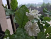 3dcdd698c7fbb3439bfeb88d14296d5c5f4525e5