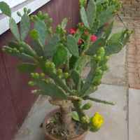 267665d3c4e4281deef876cf94cf4e7869e14e09