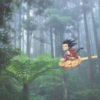 2c4705a0357e5ca8ac4390adb42d7dc1d20a609a