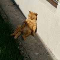 7bc07164e2ccb42d2606518d05d43a6cda3c804a