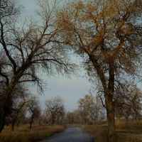 9518d570286bf5ed2320204d57a613baf4386932