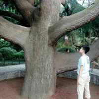 Ef5d1c535ce6b755eb251ac63a6a7cec590bcc59