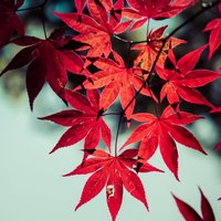 1c51ccf5896b4ebefa49611070bf7a2e1289ea02