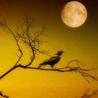 81fede973604f10b9c23bc4ed3e85fea73467177