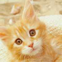 9f8e92d0f0f00360108fbeb87697ba55dd8ad05e