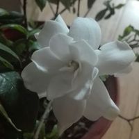 72458d0444e8b93df5a953e692c86f477467a2c6