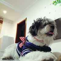 83d6ff9fa99144272fa713c238c5d0a95fbd2633