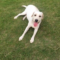 410ea855cfddfac1c21a25166d80eb720cd0b196