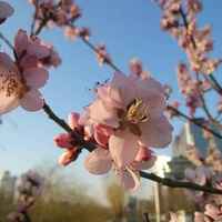 0f35753018111d21785be06fadd2ab5c060fdd83