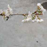 837c9b8ed0bd069b9d6666b177451f412d544e1c