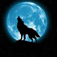 305bc4ff518d5fdaf813404008fe96ec4e735be2