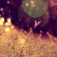 2c3838ab582b212d517d03dfa5f218351d26c070