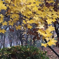 07c54a542d9d6b3a49a5fa7ecbea07972188044a