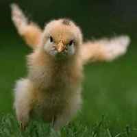 271dfddbc24abcb4b4b7d56540cf7b3f3d22888f