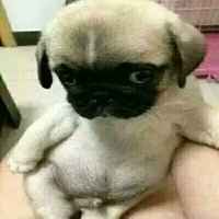 4c8a589c162a892d920d10fc908fc3bf3d64420b