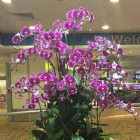 620c3fc28c3700020d9a8b349fdf344bc1cb5023