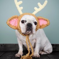 Bcd354d724025ebc2feb7f8f9033eeed5731b99d