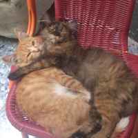 D5bb44c4f020258eaa22ecffaaa47389505ba5be