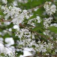 62b462568ffa93b569d66f93870558e2dafc859c