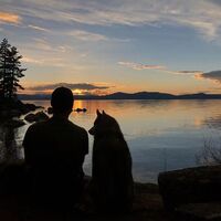 53e5be08a8453e9fc5a35bfc3a65579ad20615c0