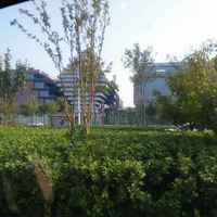 3b38e86ca87b02dcd81e662a37938a095b4bda54