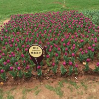 2f10083f152eb81ec9b73887d528e81be5fa076b