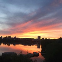 0d453ac310b73f7e0fcb1fb63a5ca3f21a9e95c1