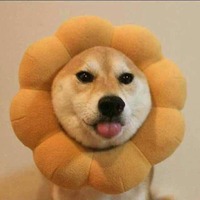 8125b2e08cdd164f8059f7d7a5e7c733a3a95265