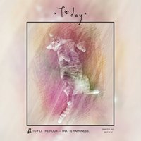 14dc91ee6040126cbc4f8b29f179ab2bf058b86b