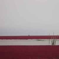 Aa7dcb54a0a78feb6f0800a694674c1d9627418b