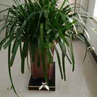 E5f93cb063e3e1d7b9cd2c8e9ef84a495cecd301