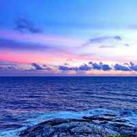 D4394e8bd068a806d2ae4b2adc2b0a5922c12922