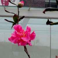 2bc24c34f5b2497830df5ec9db6d5f7f4bb8de00