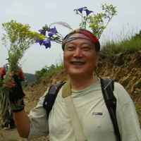 8bf0a234d067373e9e7b50bc380775160385dce2