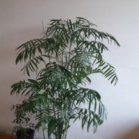 988d932331a58e36d141a9822df1eb6b5e7bd1b9