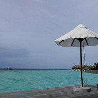 D0c797497b80c4da9e0269aa88221b6786335609