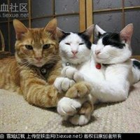 9f2c3c57dbcde739d15951a74b354a171bf87ba2